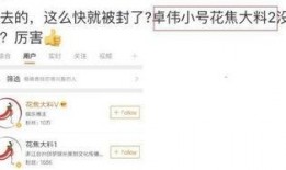 宋哲最新爆料微博号,揭秘娱乐圈最新幕后真相！”