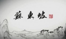 东坡爆料视频大全最新一期,揭秘娱乐圈幕后真相